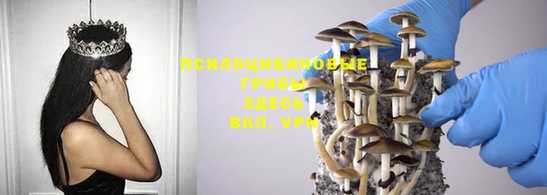 скорость Нефтекумск