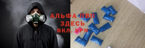 прущие грибы Наволоки