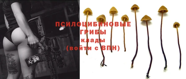 а пвп мука Надым