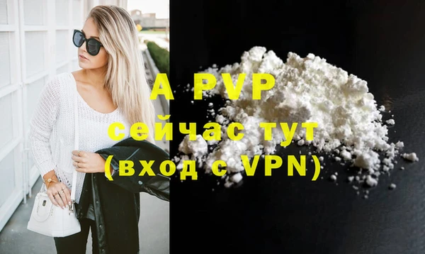 прущие грибы Наволоки